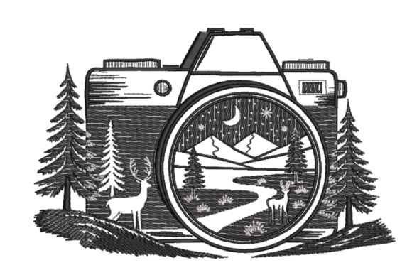 Camera Nightscape with Deer – Adventure