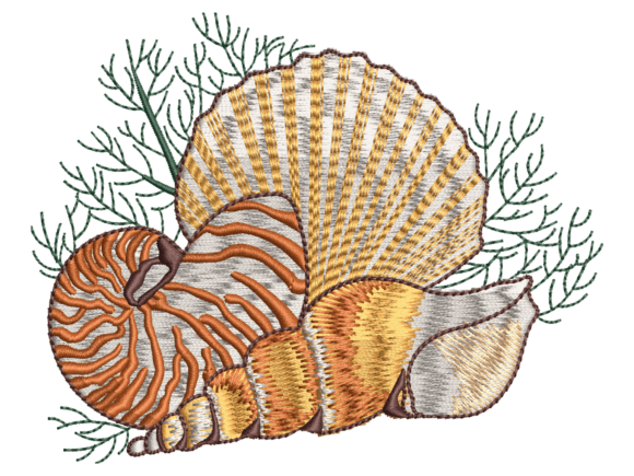 Coastal Seashell Design: A Seller's Review