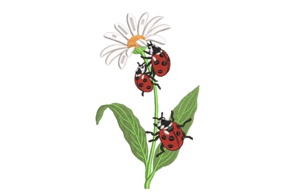 Ladybugs on Daisy Stem: A Designer's Review for Boutique Sweatshirts